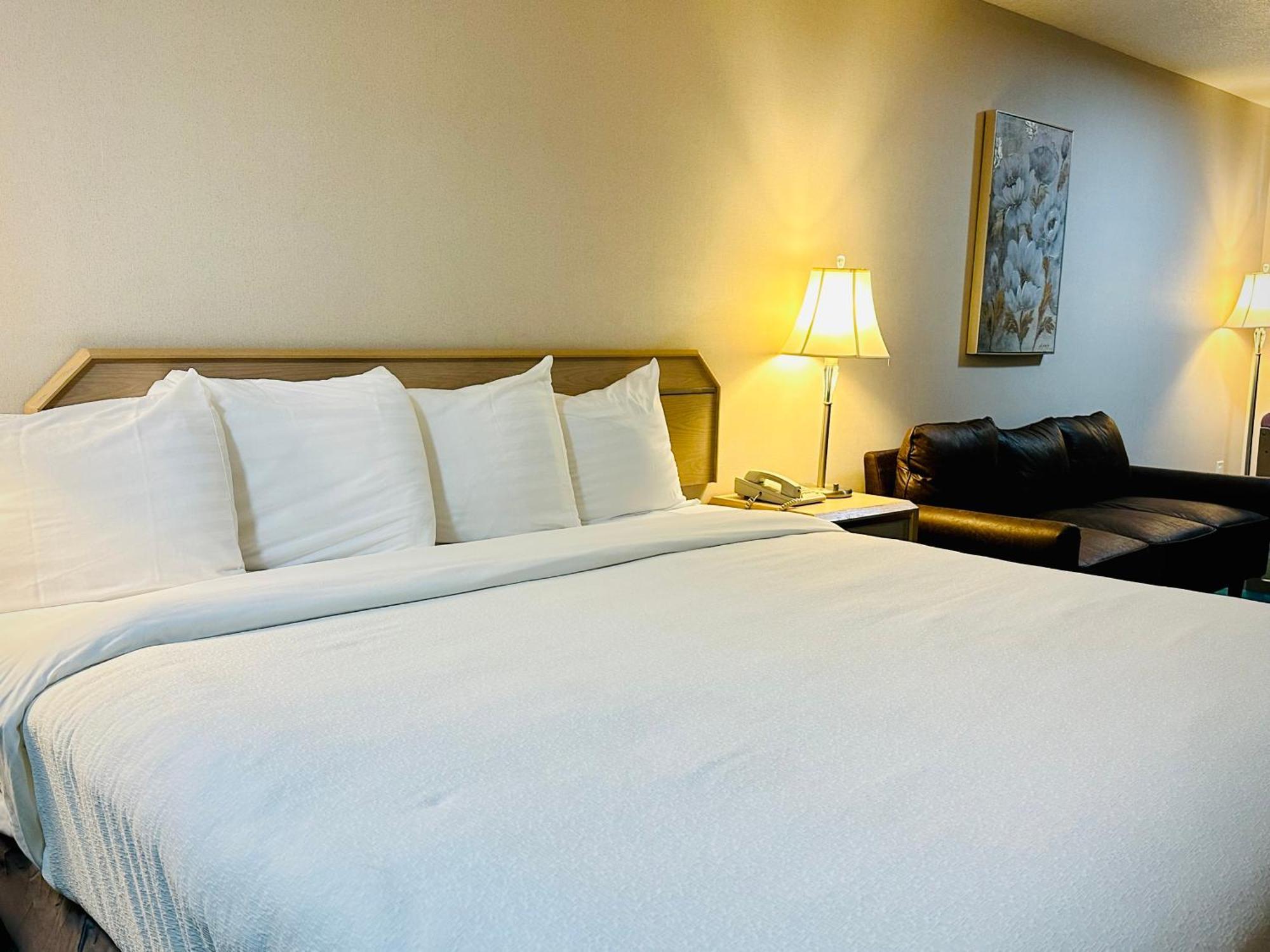 Timberland Inn & Suites Касл-Рок Экстерьер фото
